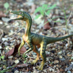 Dinosaure Réplique Compsognathus Vert